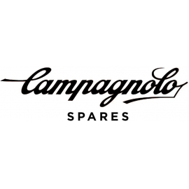 CAMPAGNOLO SPARES REAR DERAILLEUR EPS RD-SR130 - PULLEYS FIXING SCREW 11 SPEED (2 PIECES):